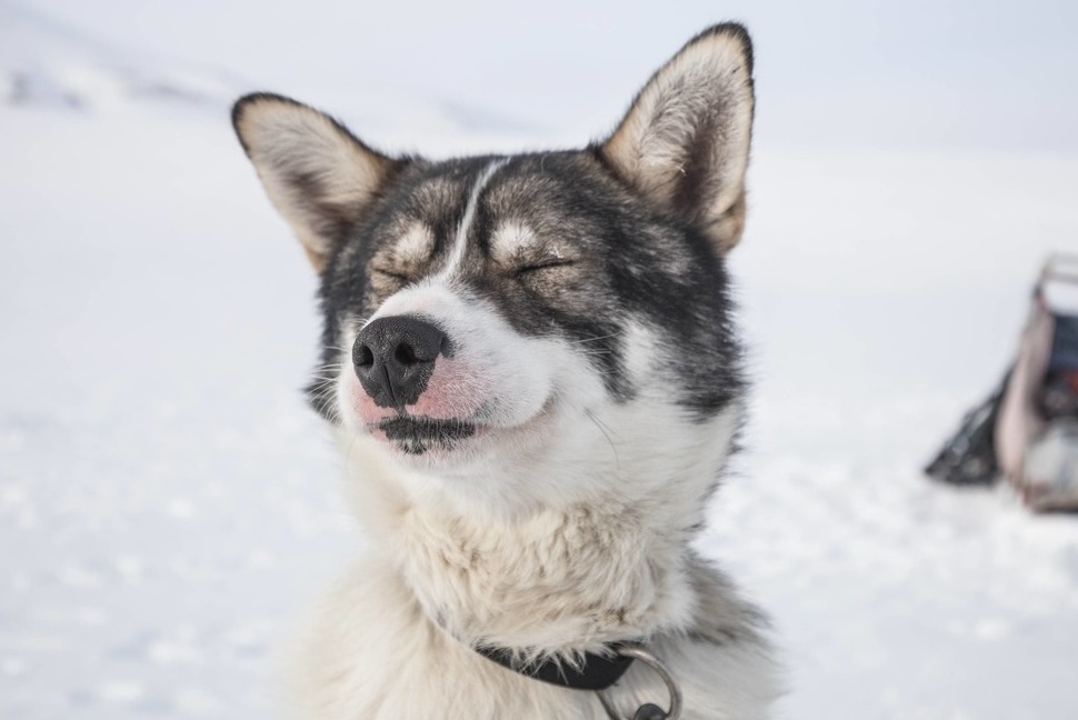 «Услуги экзорциста» 