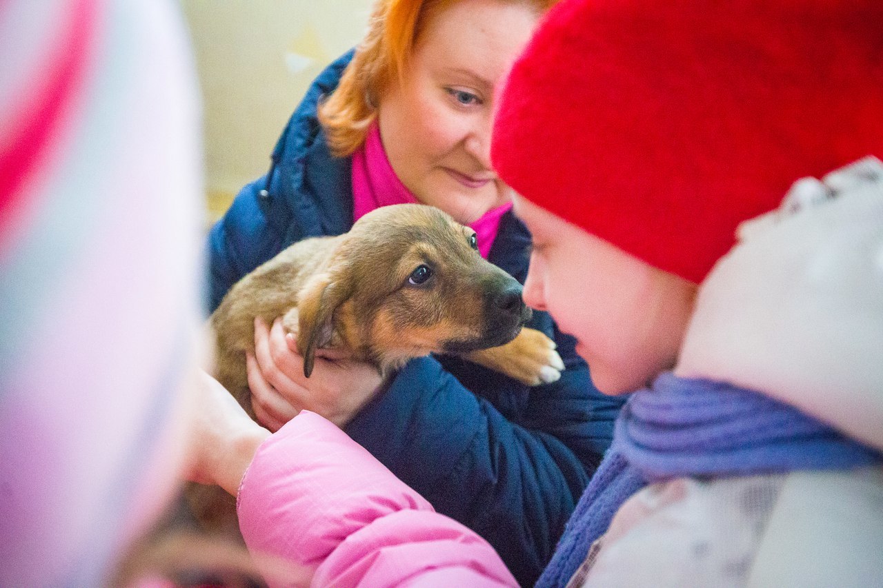 Акция "Подари тепло"